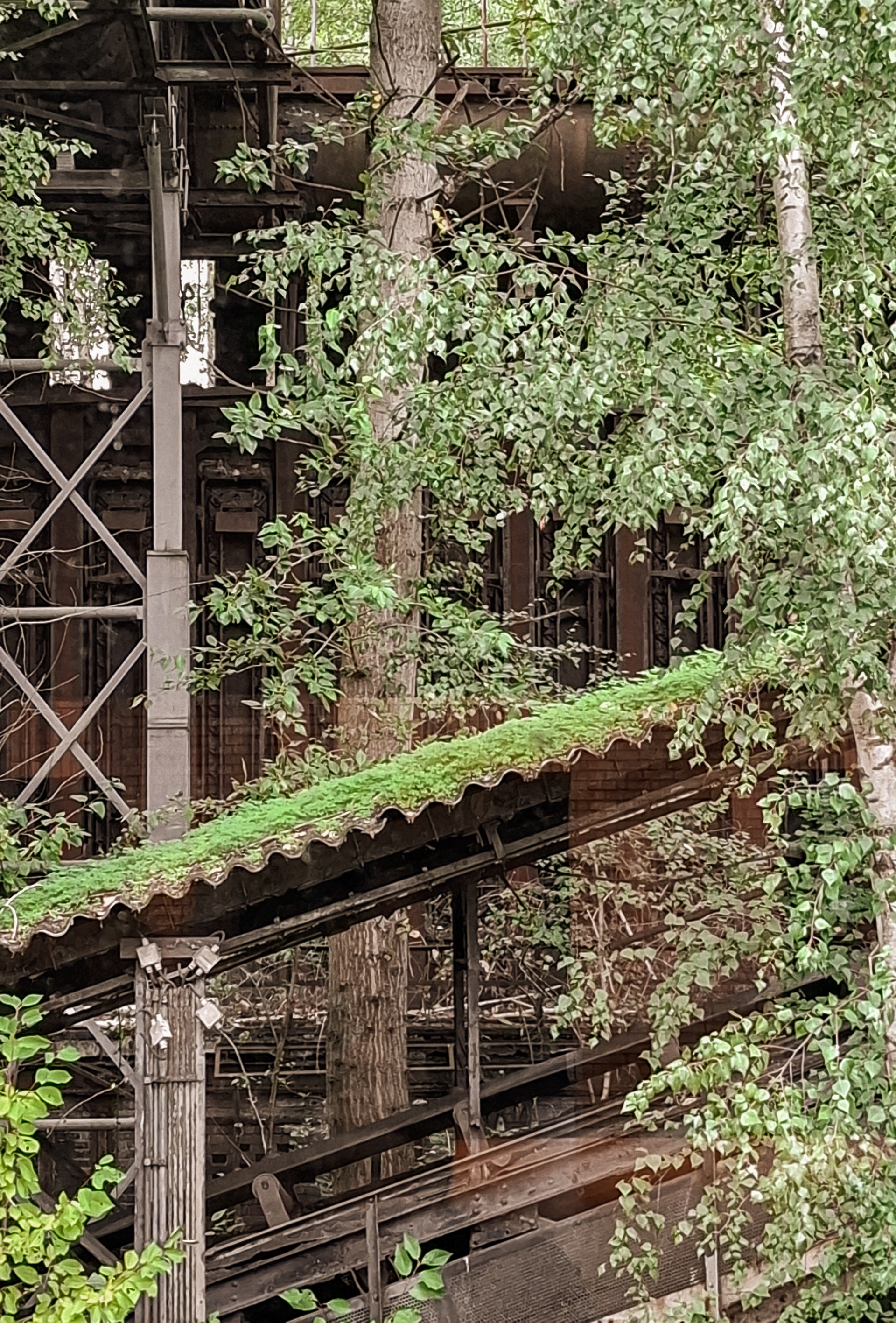 Teamgeist trifft Industriekultur – Unser Hamburger Standort auf Exkursion in Dortmund